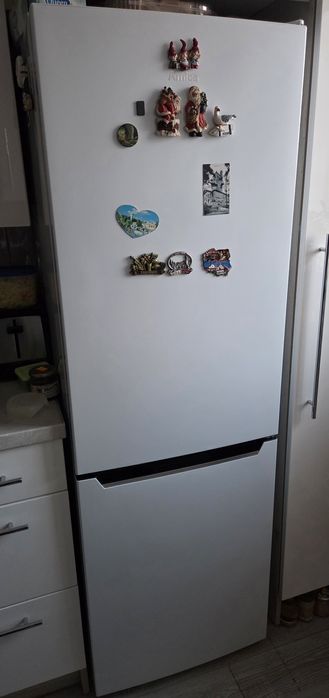 Lodówka AMICA rok gwarancji  FK4015T.2FZTWD