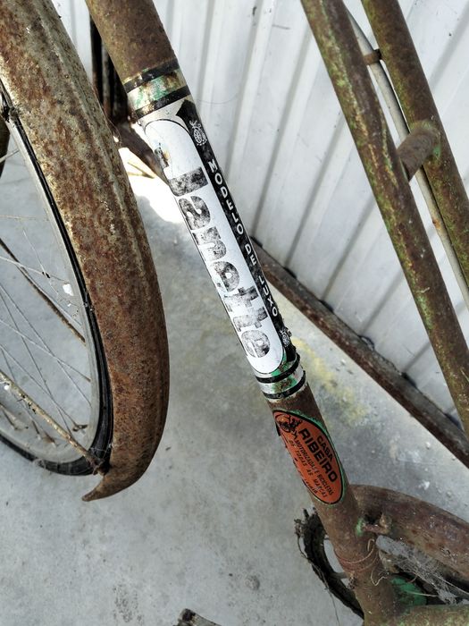 Lote de 3 bicicletas