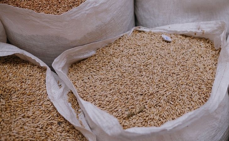 Продам зерно.  пшениця, овес, ячмінь .  Доставка
