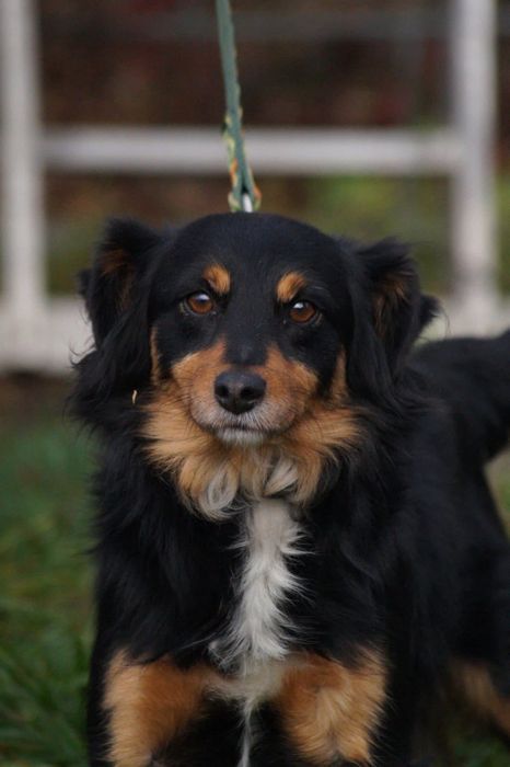 Mały i kochany Cedrik- pokochaj go