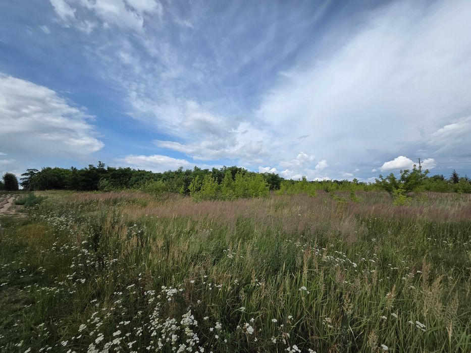 Dzialka rolna 12000 m² przy drodze asfsltowej wszystkie media - Widok 3
