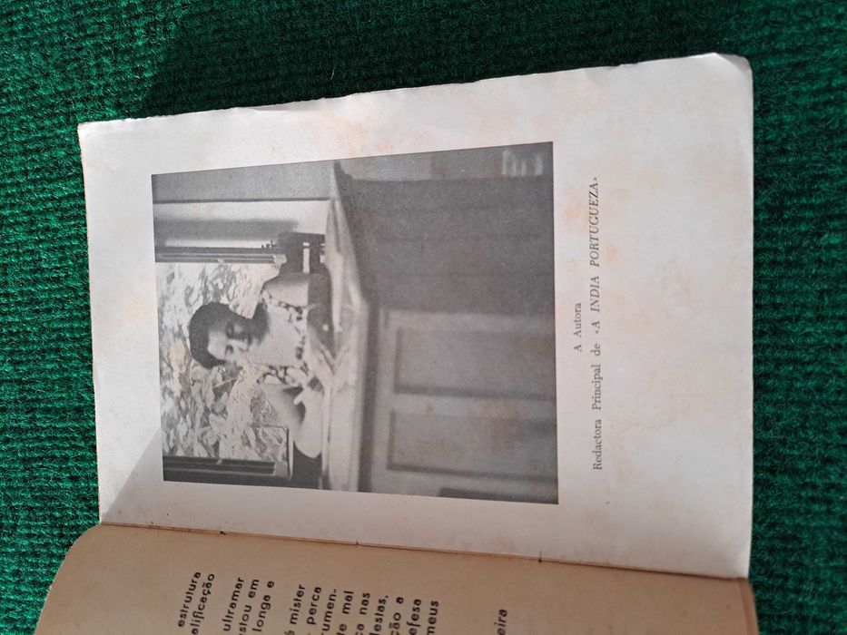 Salteadores da Honra Alheia na Índia Portuguesa - Leonor de Loyola