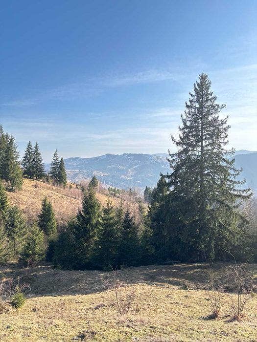 Продаж землі у Верховині