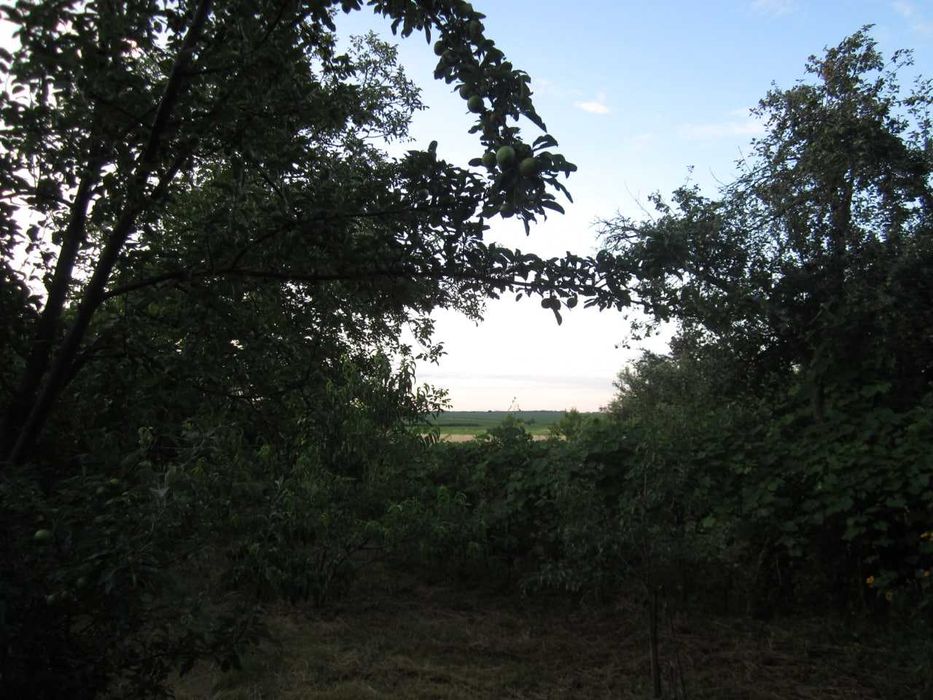 Добрий будинок с.Головківка Черкаська обл