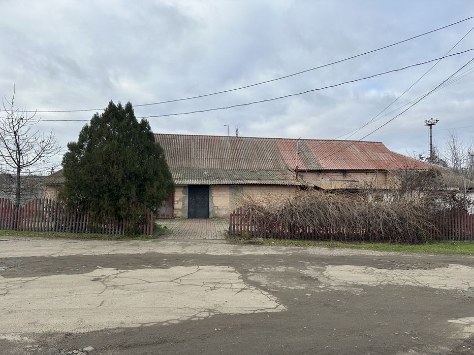 Здається в оренду приміщення комерційного призначення
