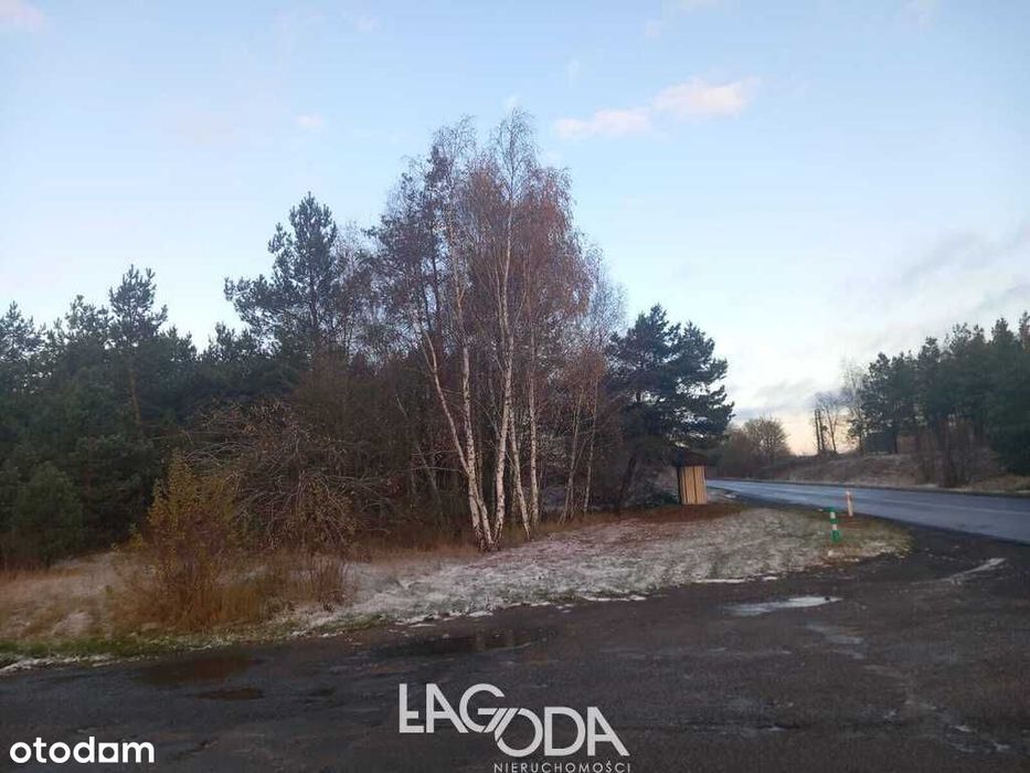 Trzcinna - działka z wydanymi warunkami zabudowy. - Widok 2