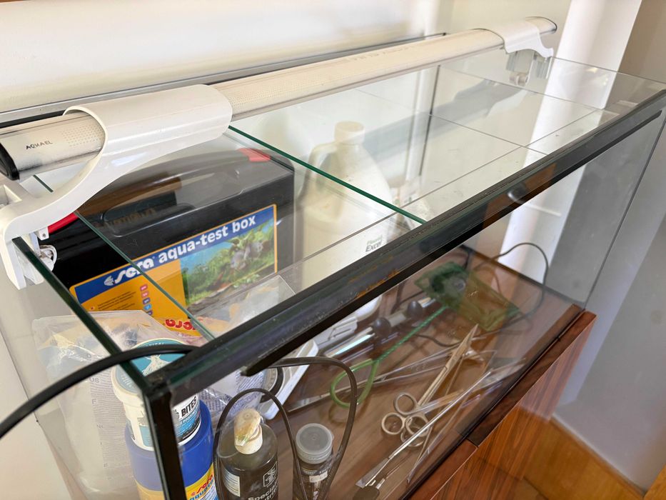 Aquário 120L Completo c/ Filtro Fluval, Luz + Móvel e Extras