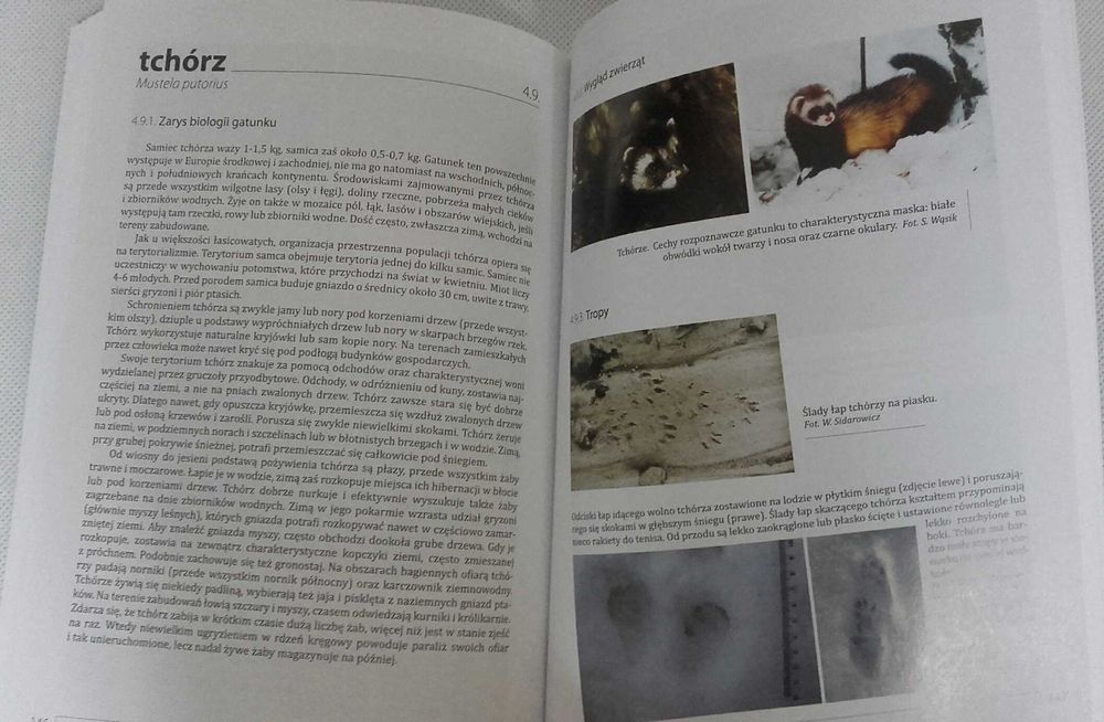 Sztuka tropienia zwierząt, W. Jędrzejewski , W. Sidarowicz | NOWA