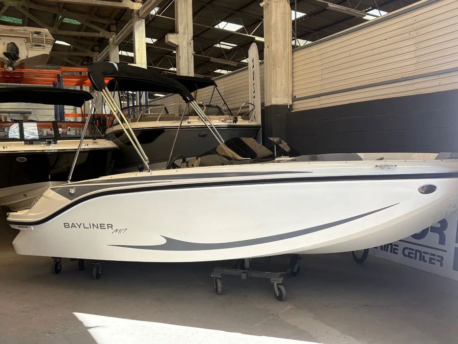 Bayliner Element M17