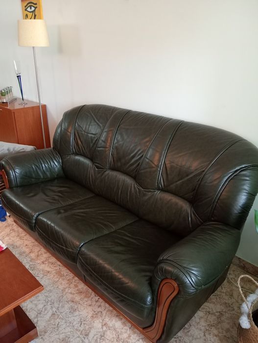 Sofás de pele verdes