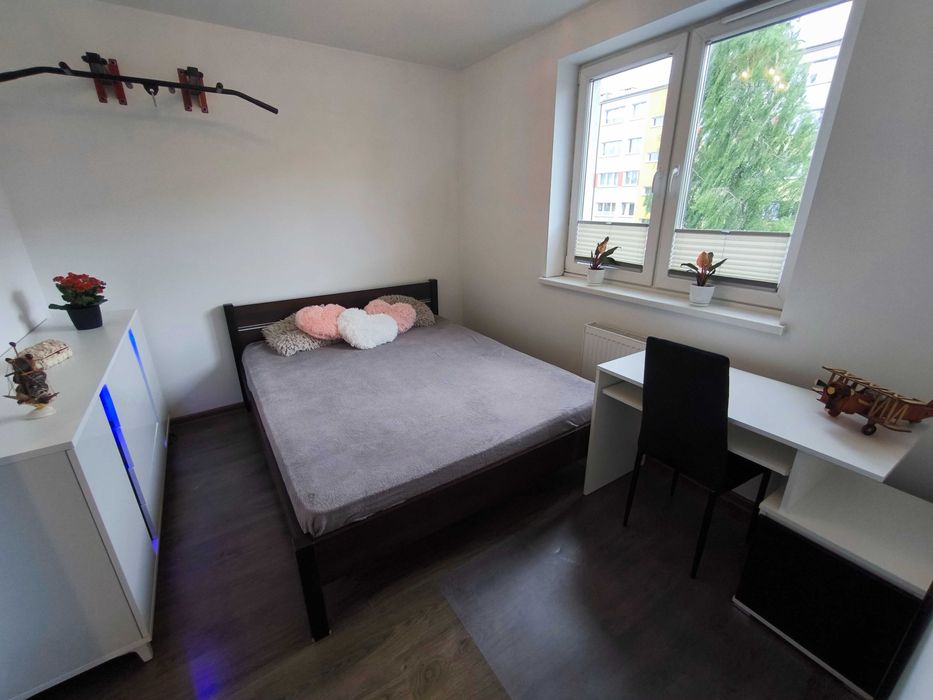 Wynajem mieszkanie 2 pokoje, winda w bloku, osobna kuchnia, 6m balkon, bez pośredników, niski czynsz. - Widok 5