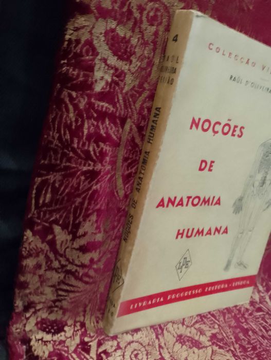 Noções de Anatomia Humana 1960 Raul D´Oliveira Feijão