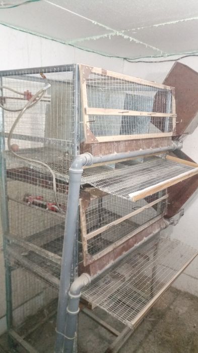 Клетка для кур , перепелов...