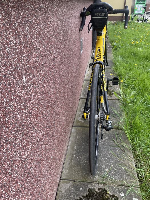 Rower szosowy Focus Cayo Evo 1.0 ultegra DI2 11s. 56 cm Mavic Ksyrium