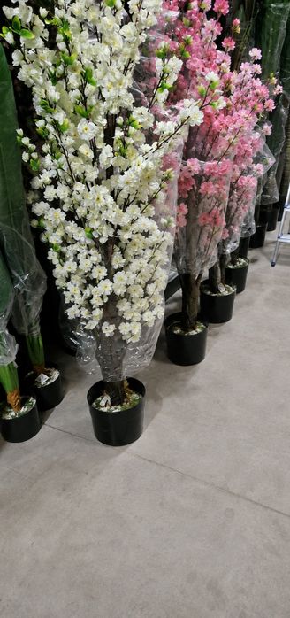 Flores cerejeiras tronco grosso 160 cm rosas e brancas para entregas