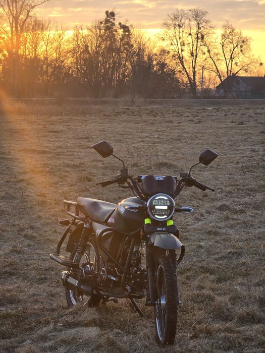 Мустанг, Musstang Dingo 125