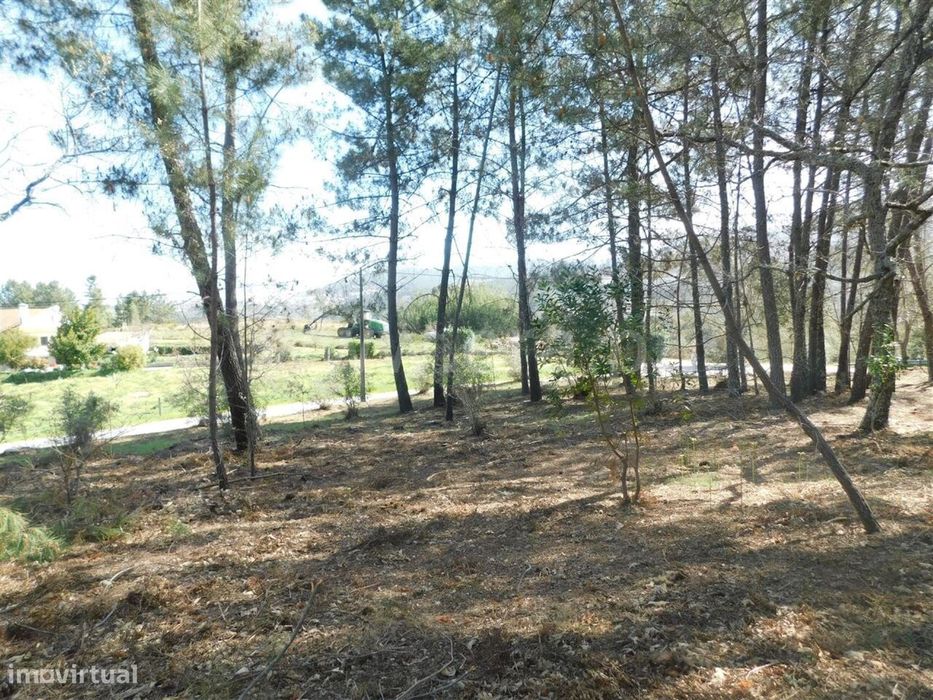 Terreno / Fundão, Souto da Casa