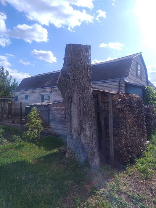 Стовбур горіха, горіх, слеб.