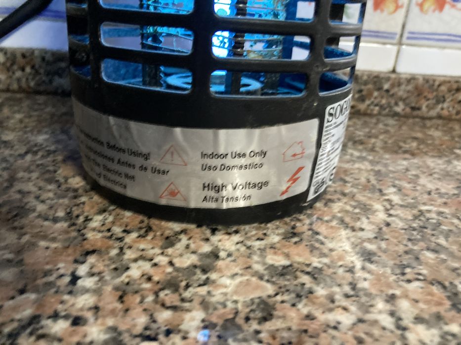 Apanhador de insectos em bom estado