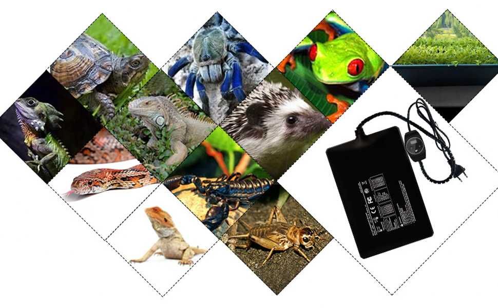 Mata grzewcza do terarium 15x20cm 11w.