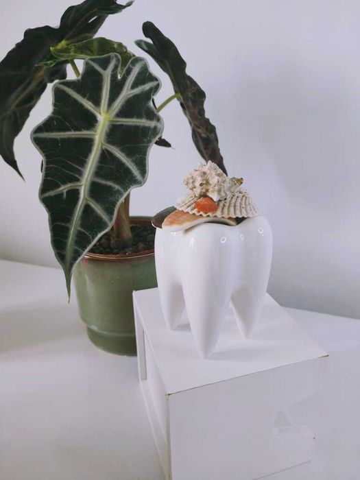 Ceramiczny ZĄBEK-prezent MIKOŁAJKI I ŚWIĘTA! zestaw 2+1 GRATIS