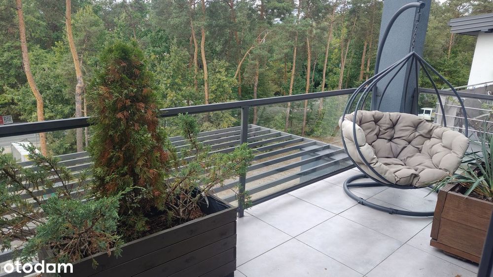 Zdjęcie 5