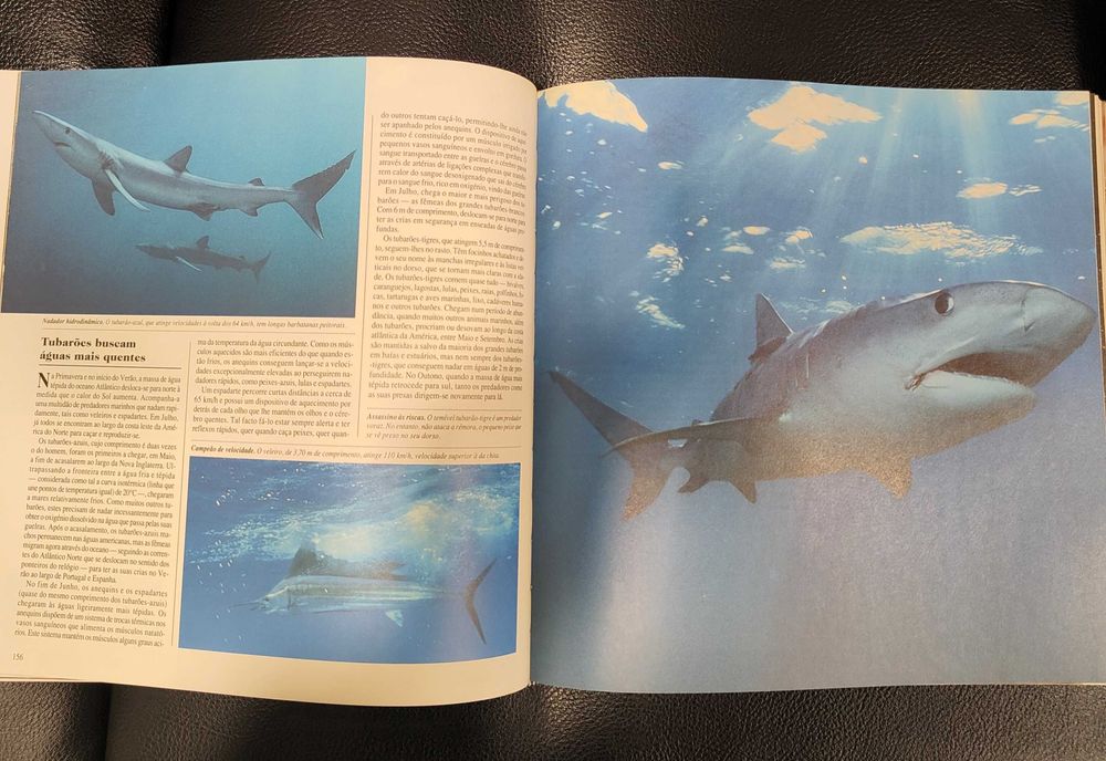 O Mundo Maravilhoso dos Animais Selvagens