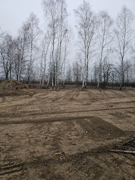 Karczowanie mulczer wgłębny mulczer leśny mulczowanie wycinka drzew