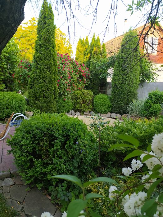 Загородный дом возле Черкасс