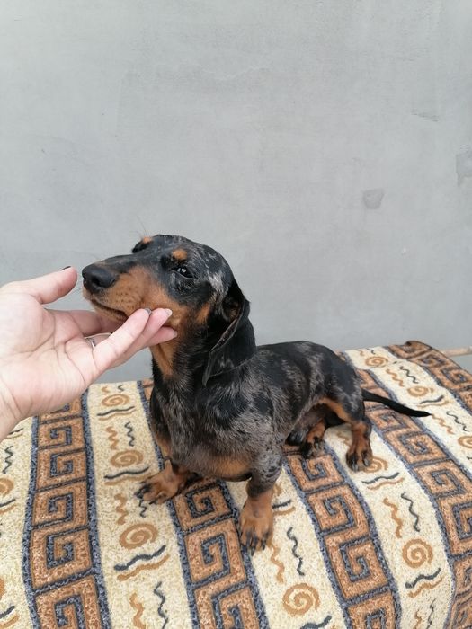 Пропонуємо в'язку