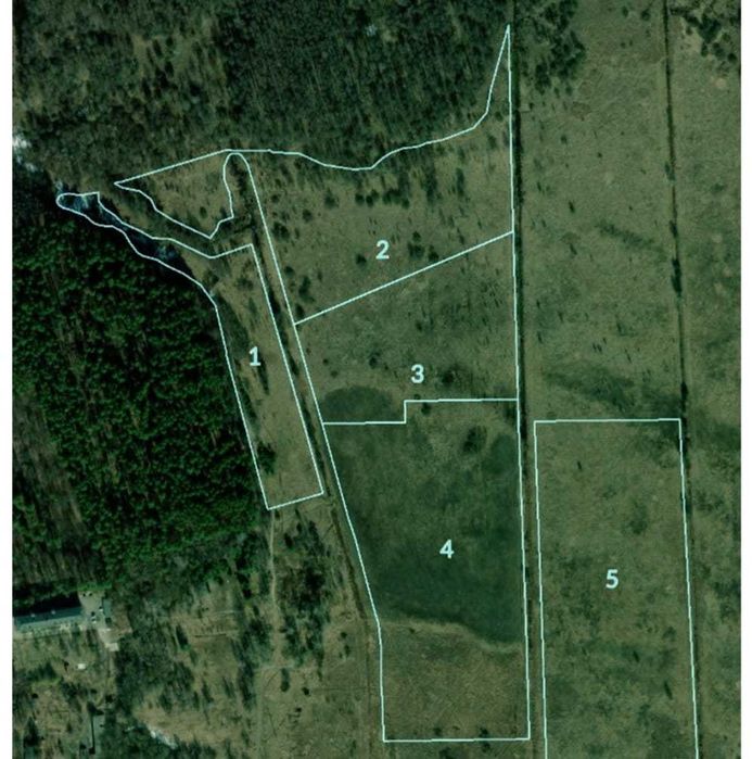 24 га земельна ділянка біля лісу