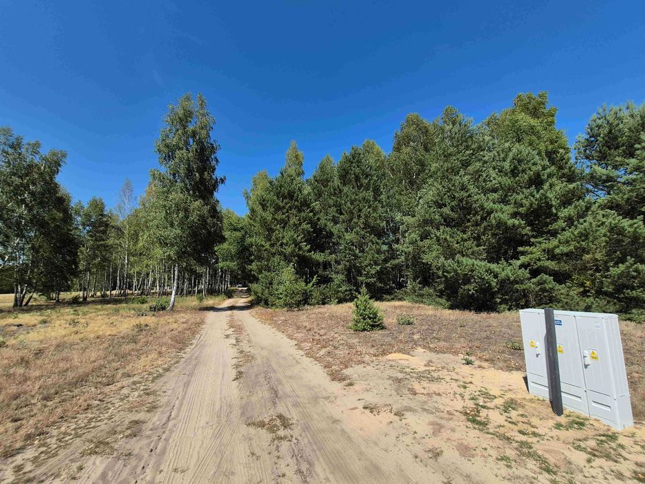 Działka budowlana + warunki zabud. + prąd 1000 m2 (Morgi - kol. Ldzań)