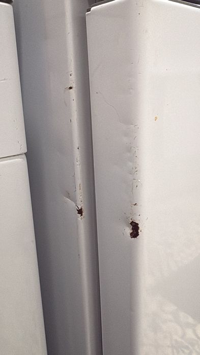 Frigorífico combinado 338 litros