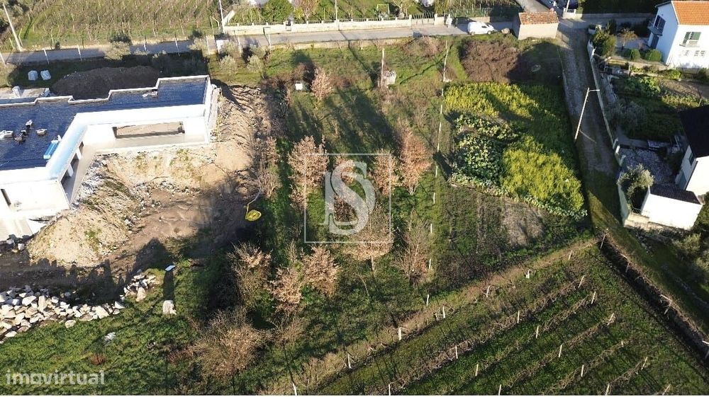 Terreno  Venda em Ferreirim,Lamego