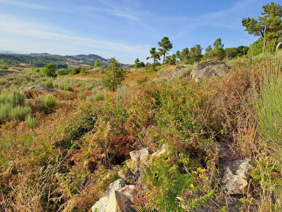 Terreno Rústico em Paredes da Beira com 9200 m2