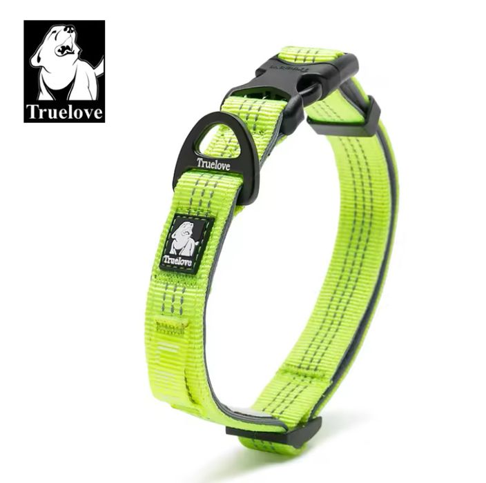 Шлея, повідець, нашийник