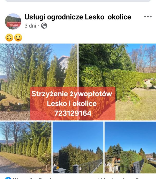 Przecinanie drzewek,  strzyżenie tui , koszenia ,wycinka drzew