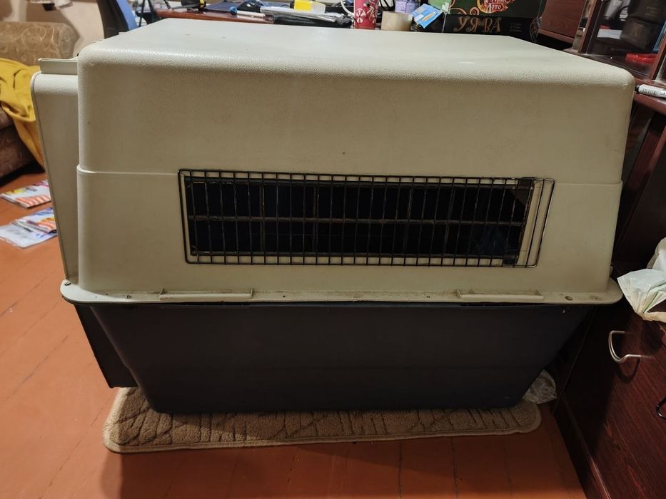 Великий бокс для собаки