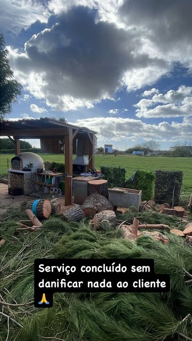 Abate de árvores/Podas e palmeiras