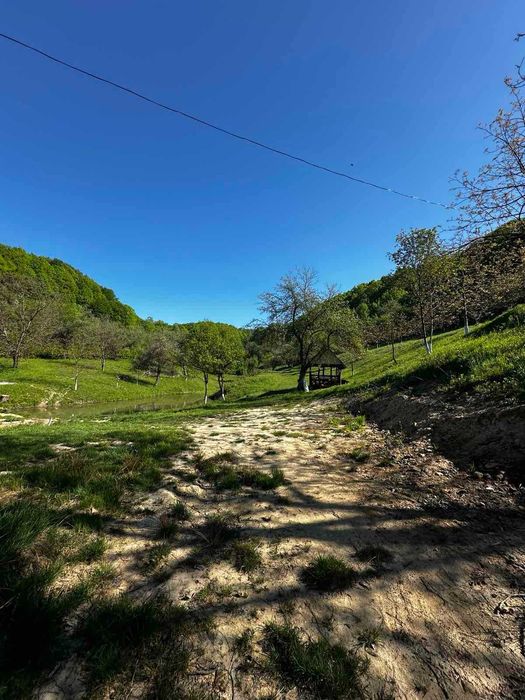 Продається дача в с. Бедевля