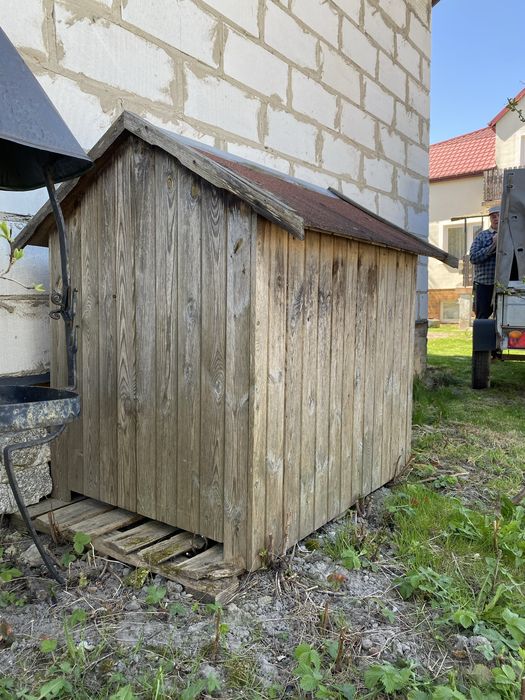 Buda dla dużego psa