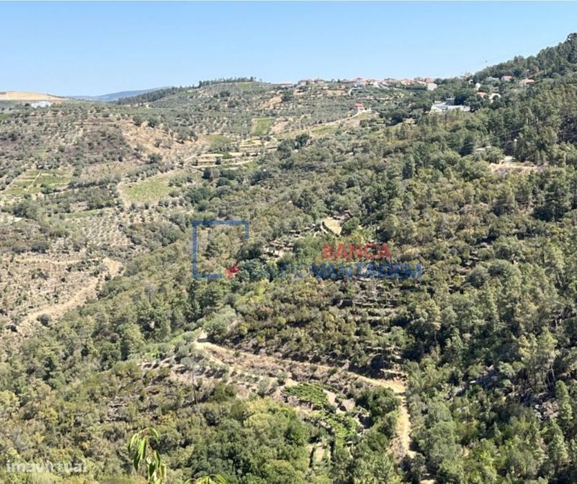 Terreno com mais de 40 000m2, Armamar, Viseu