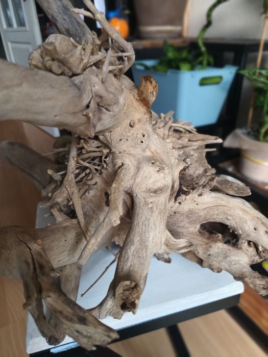 Korzeń do akwarium lub terrarium