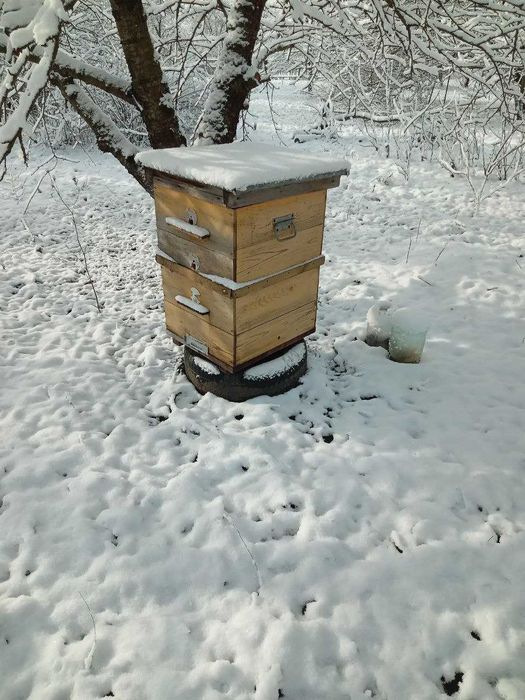 вулики порожні вулики з бджолами бджлосімї