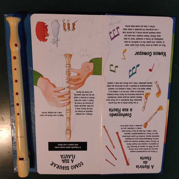 Flute and beginner's book64365265857410121