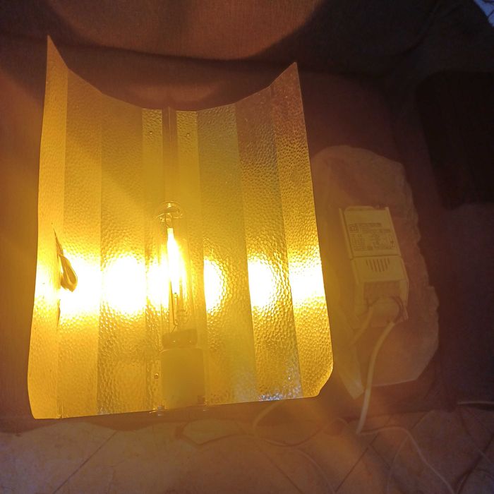 250W Lighting Kit434973724839792642