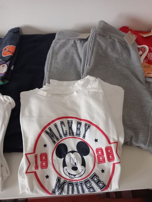 Lote de 7 t-shirts manga comprida, 3 calças, 9/10 anos Zippy portes in