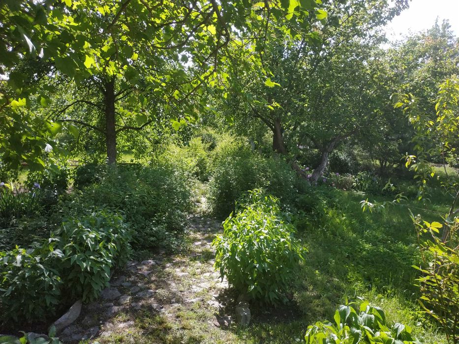 Продається садиба  - дім 2 поверхи, гараж, басейн, чудовий ланшафт