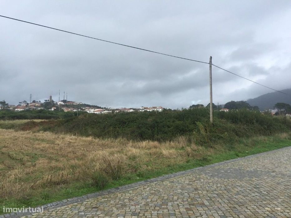Terreno Agrícola - Carreço