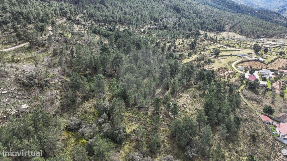 Terreno  para venda
